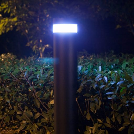 Solar Path Light Illuminated - Litecharga